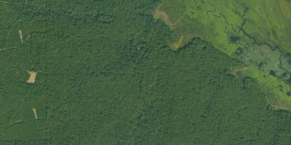 Real aerial photograph at Cane Creek State Park