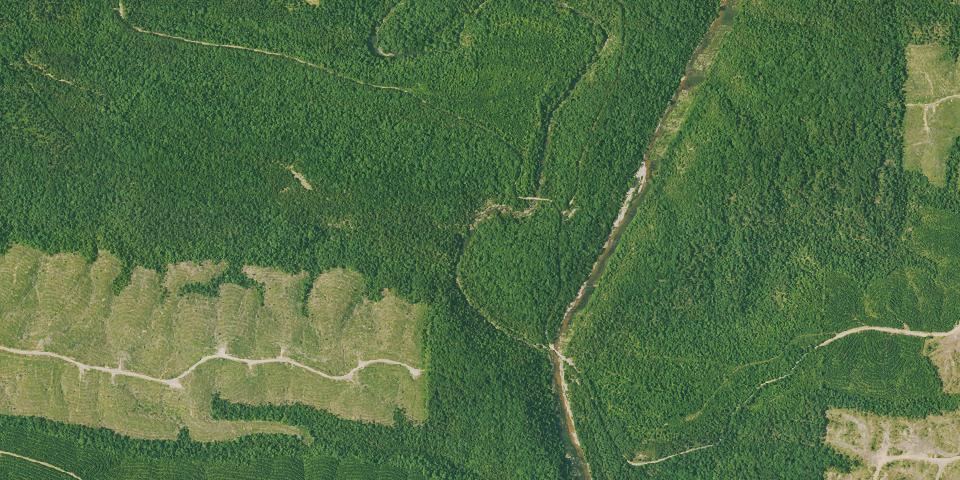 Real aerial photograph at Cossatot River State Park-Natural Area