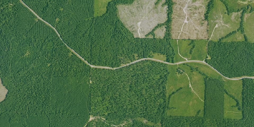 Real aerial photograph at Poison Springs Battleground State Park