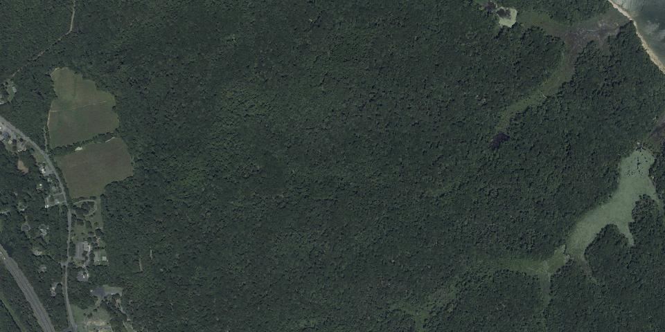 Real aerial photograph at Calvert Cliffs State Park