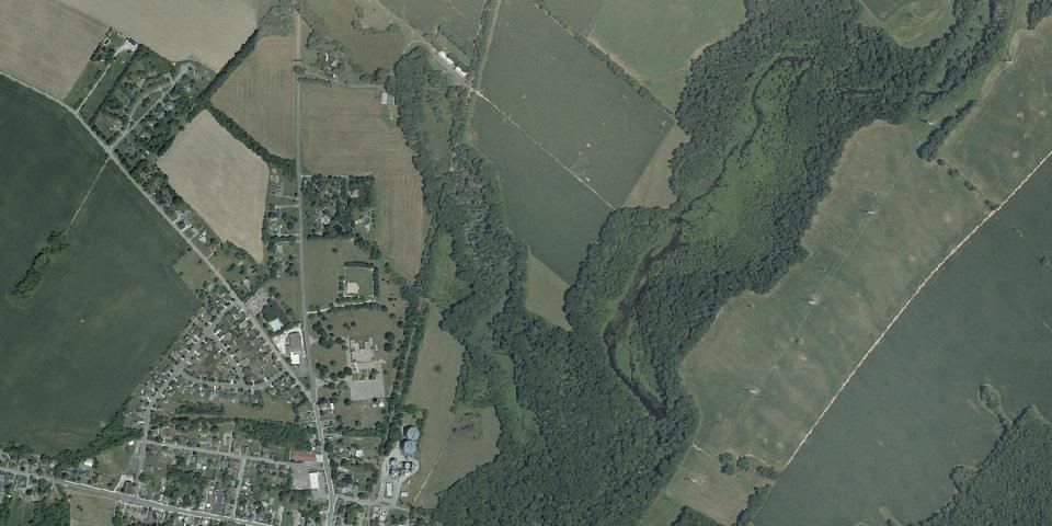 Real aerial photograph at Cypress Branch State Park