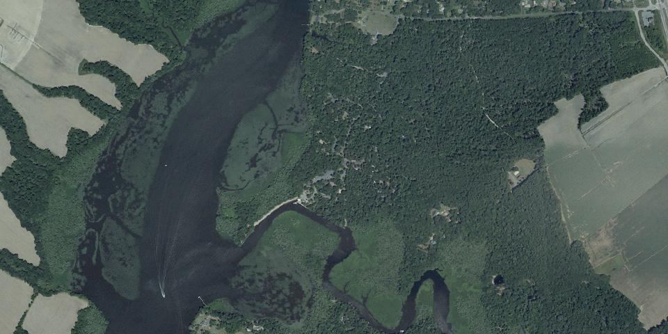 Real aerial photograph at Martinak State Park