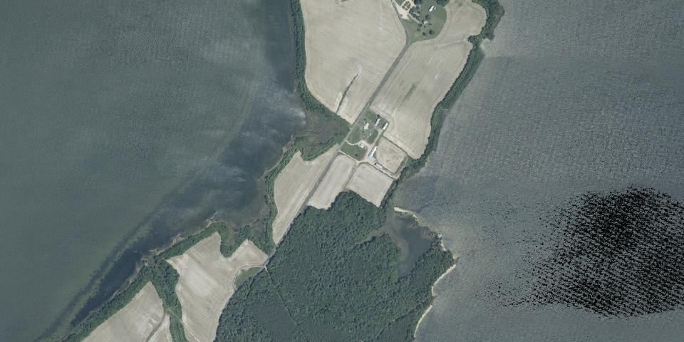 Real aerial photograph at Newtowne Neck State Park