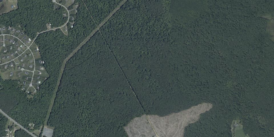 Real aerial photograph at St. Mary's River State Park