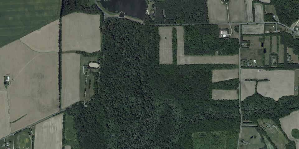 Real aerial photograph at Tuckahoe State Park