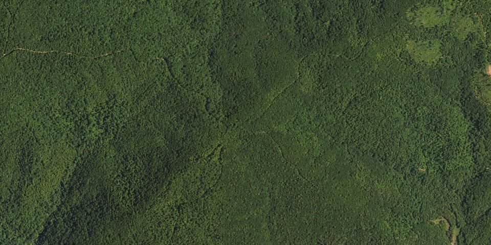Real aerial photograph at Bob's Creek State Natural Area
