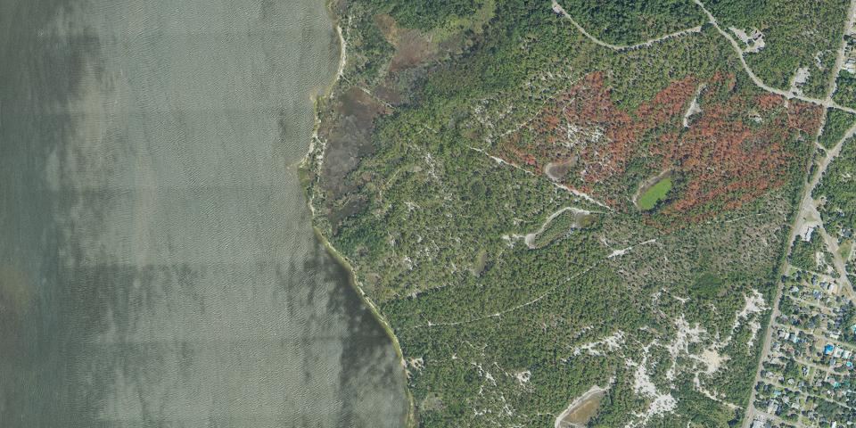 Real aerial photograph at Carolina Beach State Park