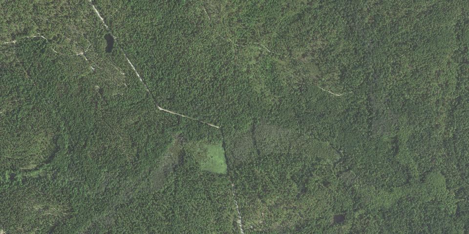 Real aerial photograph at Carvers Creek State Park