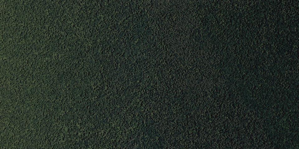 Real aerial photograph at Dismal Swamp State Park