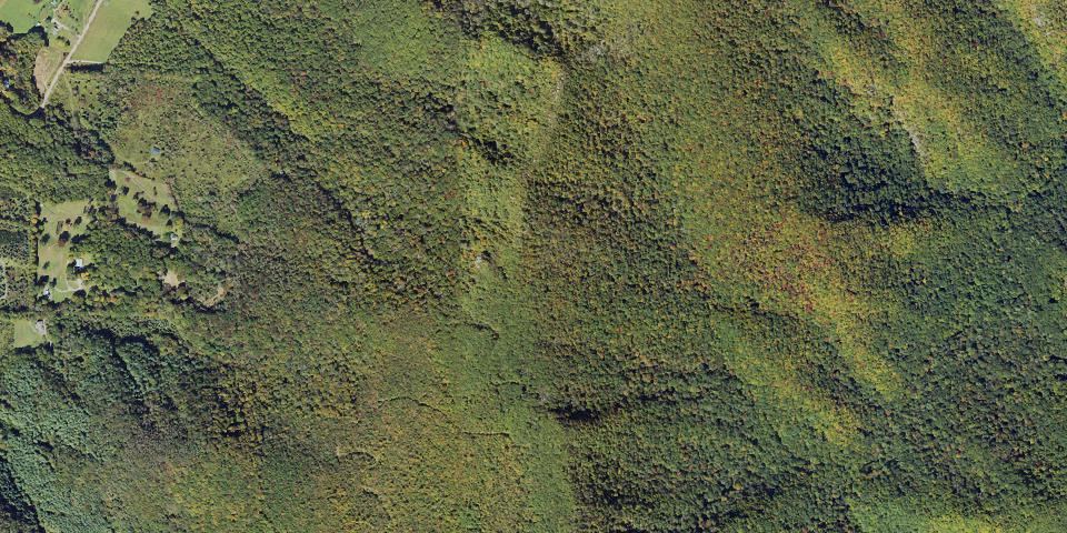 Real aerial photograph at Elk Knob State Park