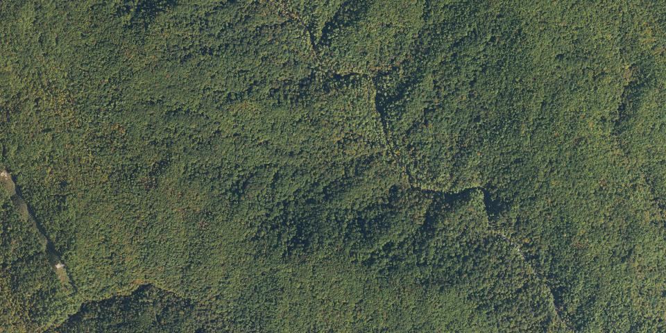 Real aerial photograph at Gorges State Park