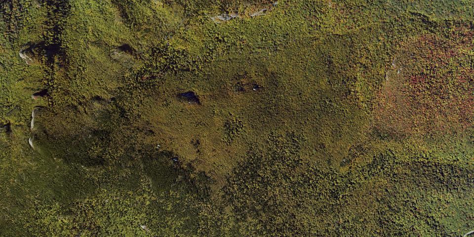 Real aerial photograph at Grandfather Mountain State Park