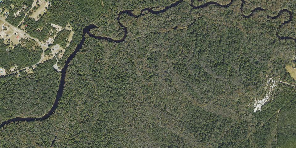 Real aerial photograph at Lumber River State Park