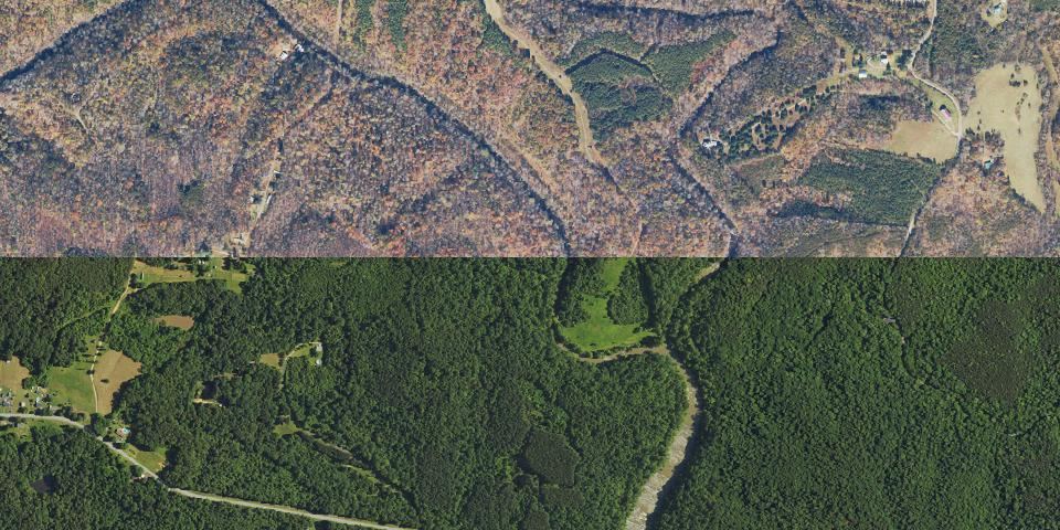 Real aerial photograph at Mayo River State Park