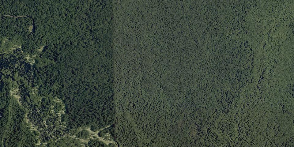 Real aerial photograph at Merchants Millpond State Park