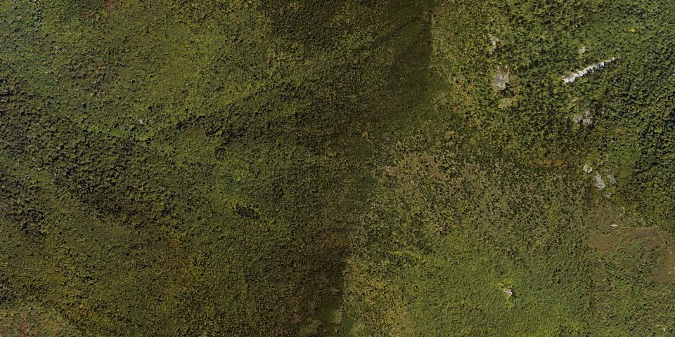 Real aerial photograph at Mount Mitchell State Park