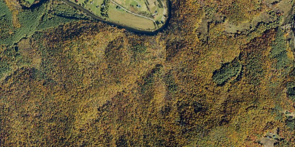 Real aerial photograph at New River State Park