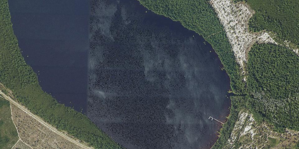 Real aerial photograph at Singletary Lake State Park