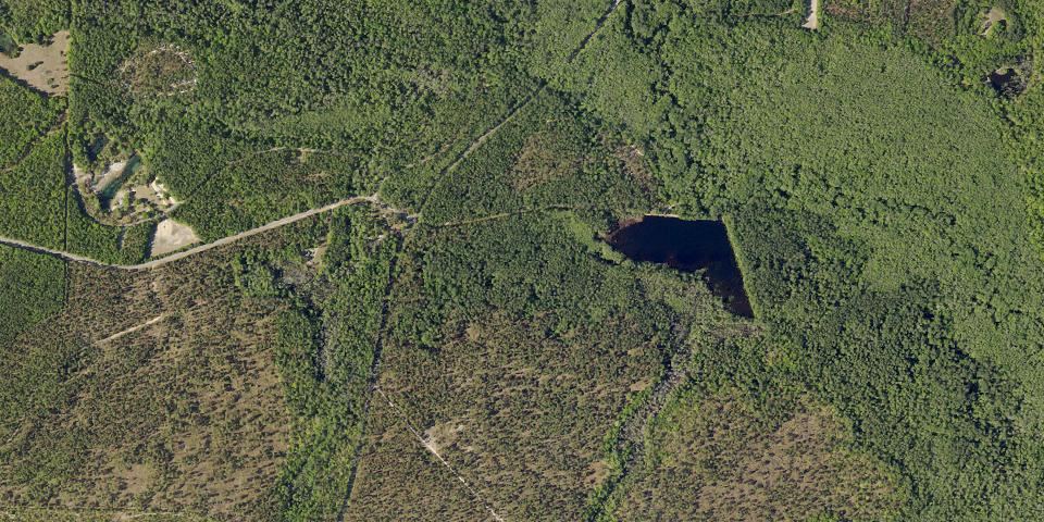 Real aerial photograph at Aiken State Park