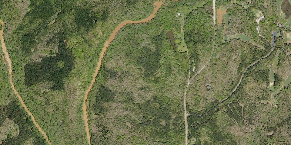 Real aerial photograph at Battle of Musgrove Mill State Historic Site