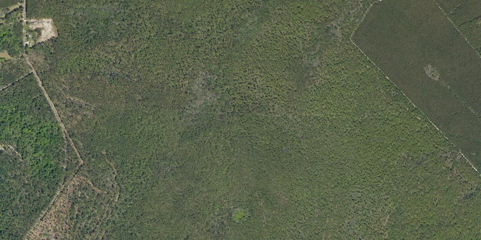 Real aerial photograph at Givhans Ferry State Park