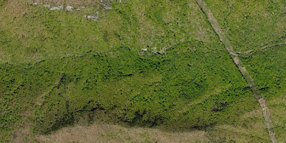 Real aerial photograph at Jones Gap State Park
