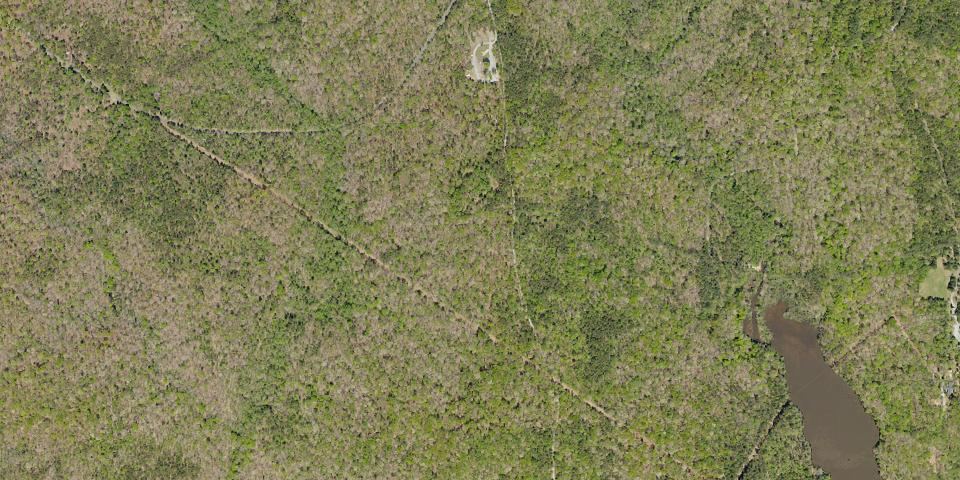 Real aerial photograph at Kings Mountain State Park