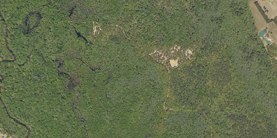 Real aerial photograph at Lee State Park