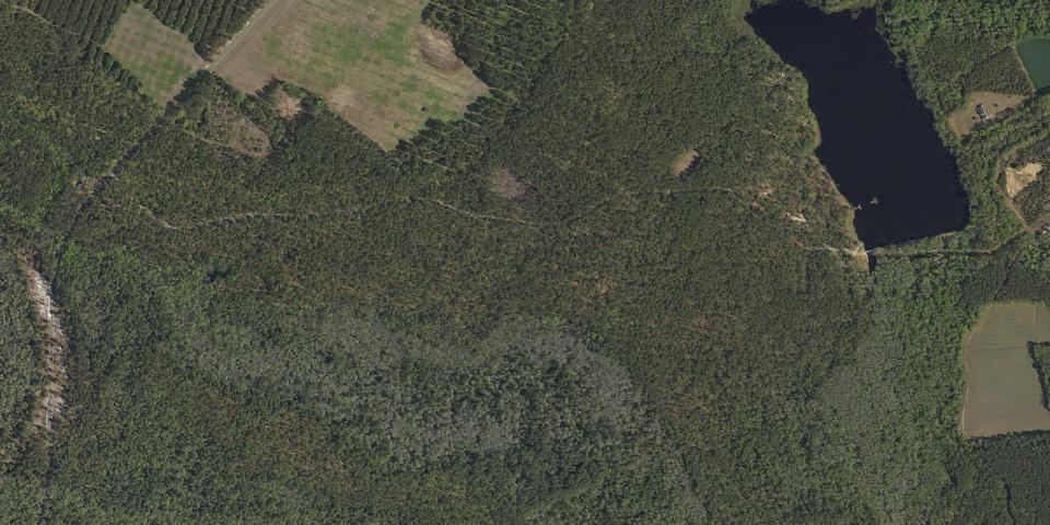 Real aerial photograph at Little Pee Dee State Park