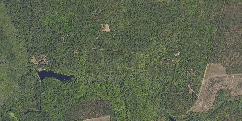 Real aerial photograph at Poinsett State Park