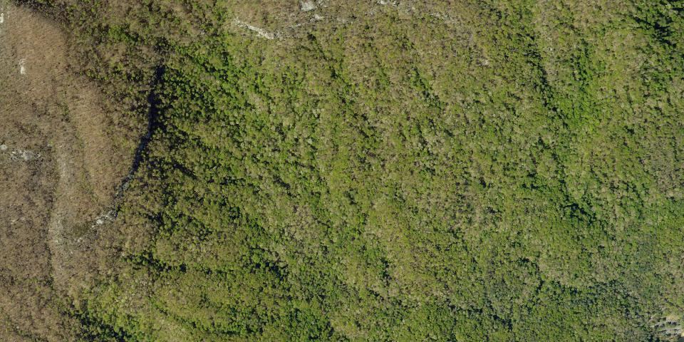 Real aerial photograph at Table Rock State Park
