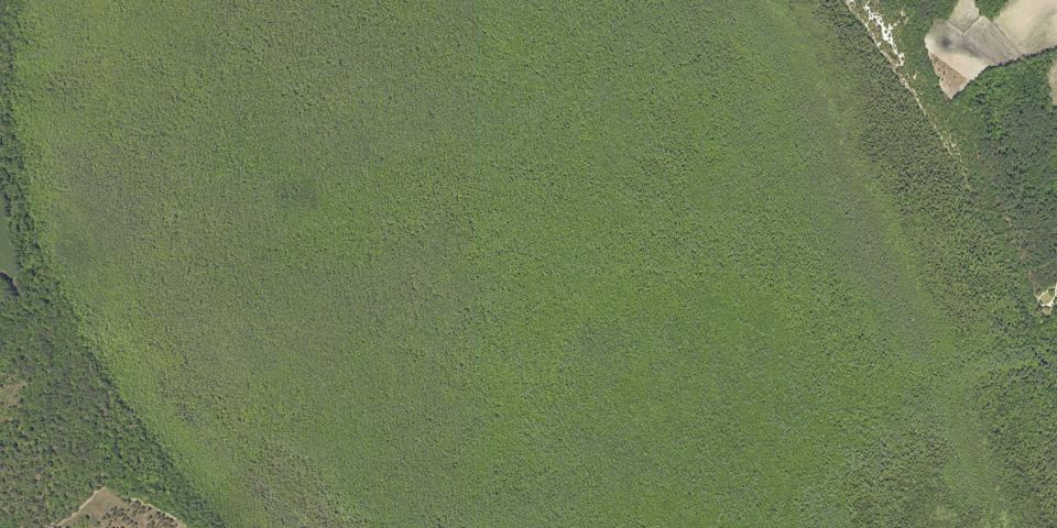 Real aerial photograph at Woods Bay State Park