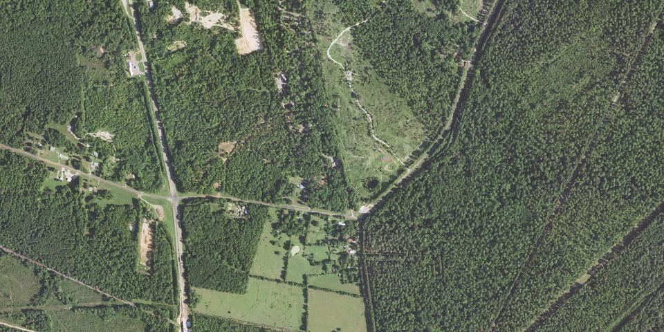 Real aerial photograph at Caddo Lake State Park