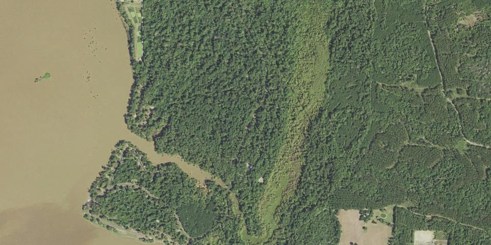 Real aerial photograph at Martin Dies, Jr. State Park