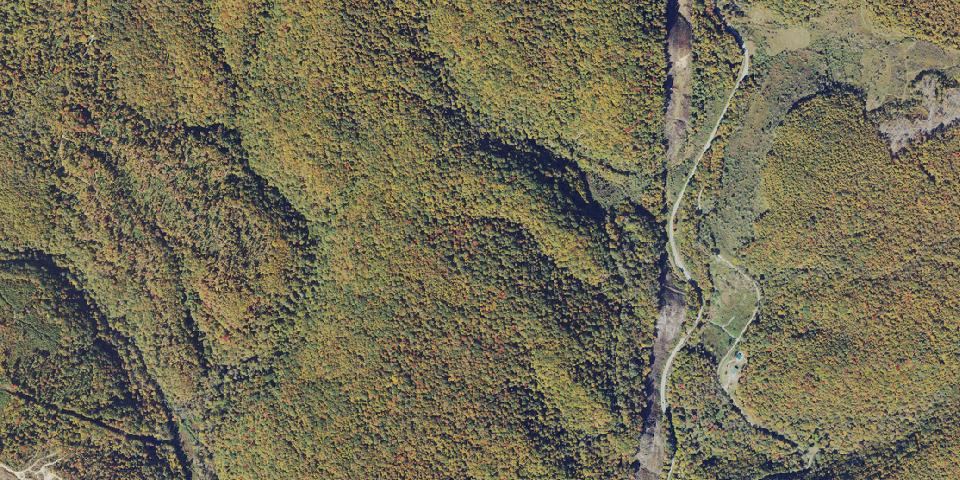 Real aerial photograph at Babcock State Park