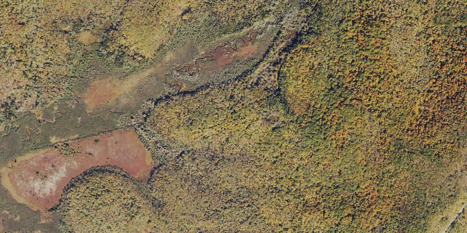 Real aerial photograph at Beartown State Park