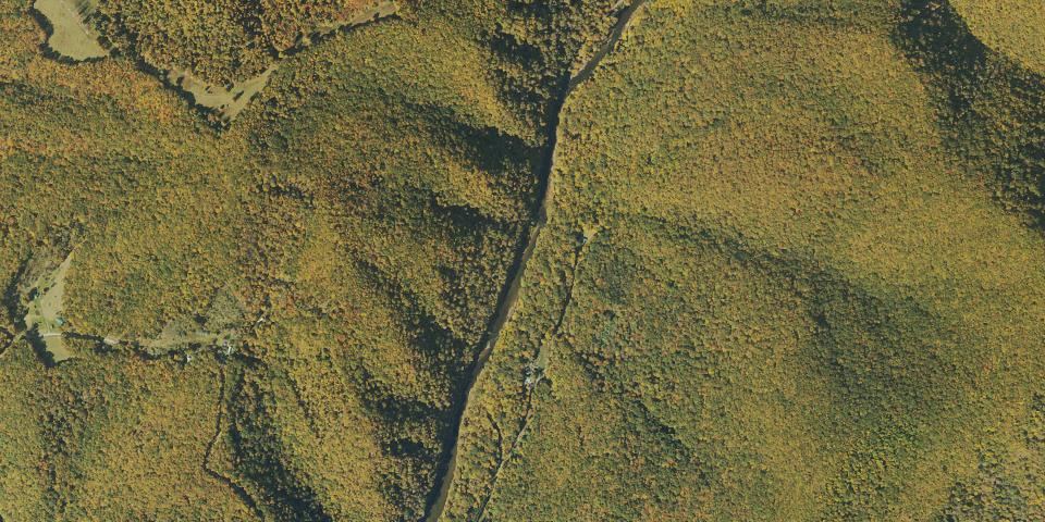 Real aerial photograph at Cass Scenic Railroad State Park