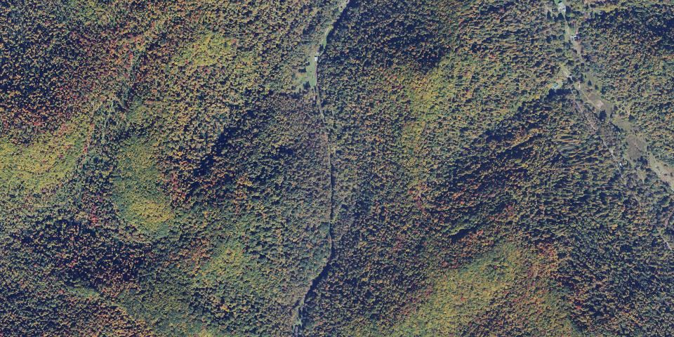 Real aerial photograph at Holly River State Park