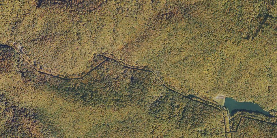 Real aerial photograph at Watoga State Park