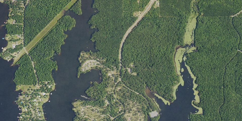 Real aerial photograph at Jimmie Davis State Park