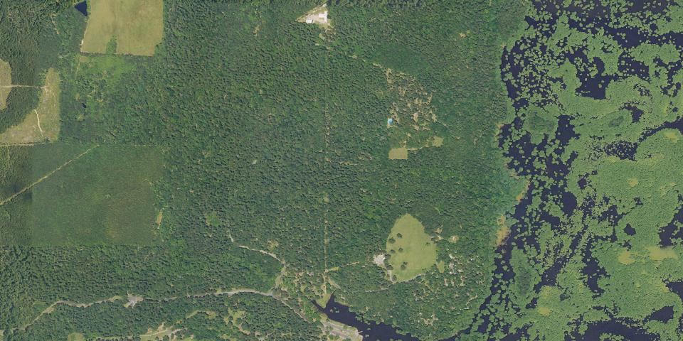 Real aerial photograph at Lake Bistineau State Park