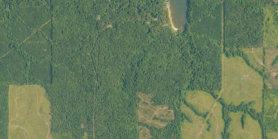 Real aerial photograph at Lake Claiborne State Park