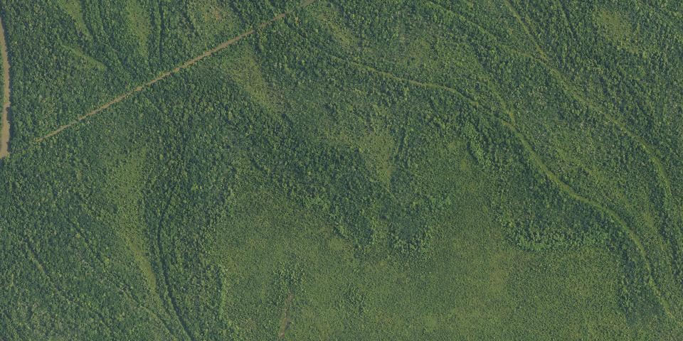 Real aerial photograph at Lake Fausse Pointe State Park