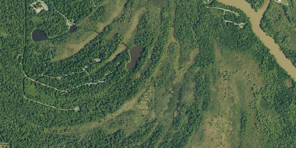 Real aerial photograph at Palmetto Island State Park