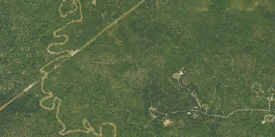 Real aerial photograph at Tickfaw State Park