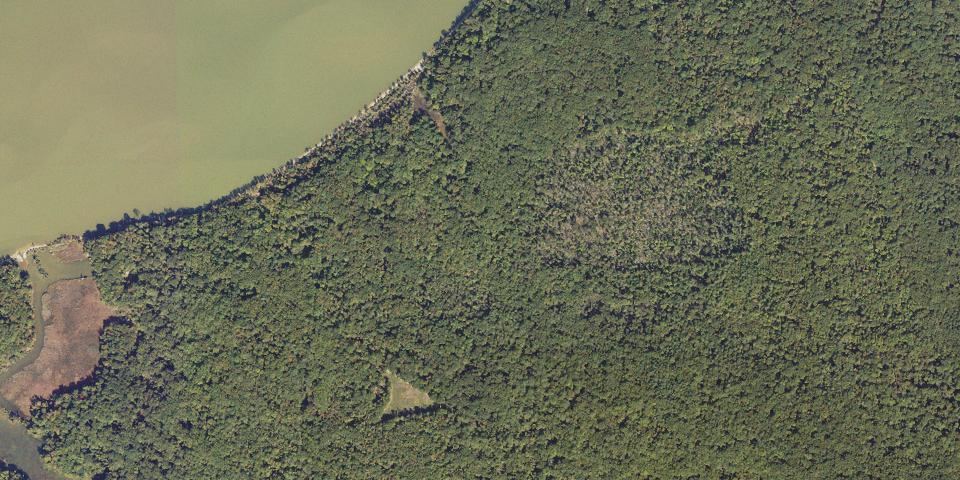 Real aerial photograph at Caledon State Park