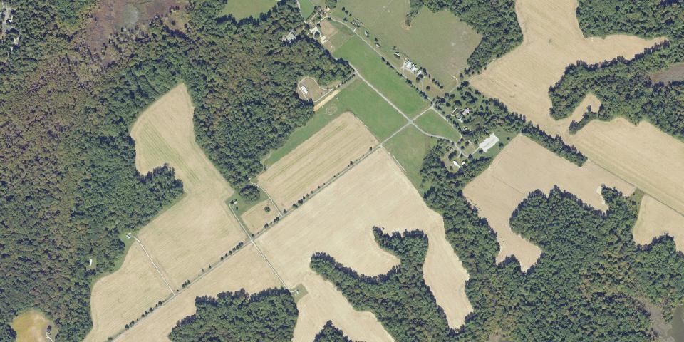Real aerial photograph at Chippokes State Park