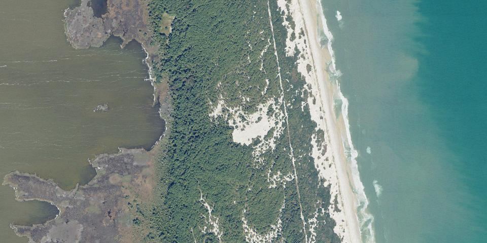 Real aerial photograph at False Cape State Park