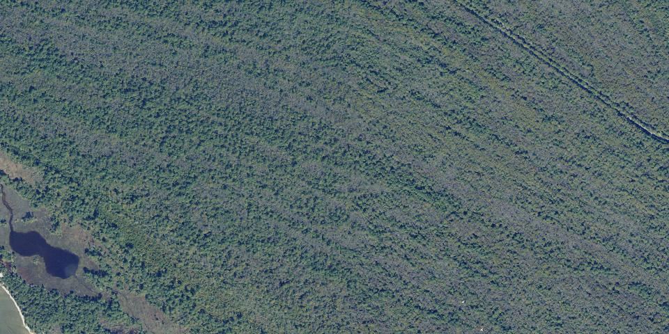 Real aerial photograph at First Landing State Park
