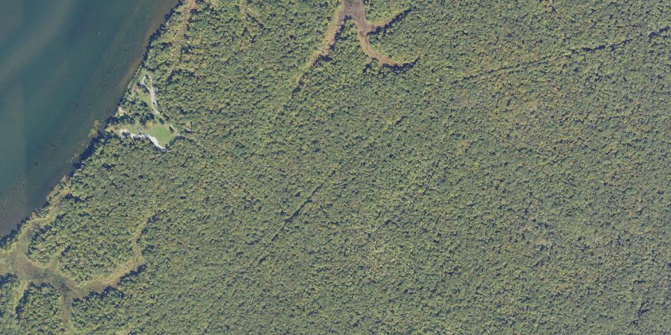 Real aerial photograph at Mason Neck State Park